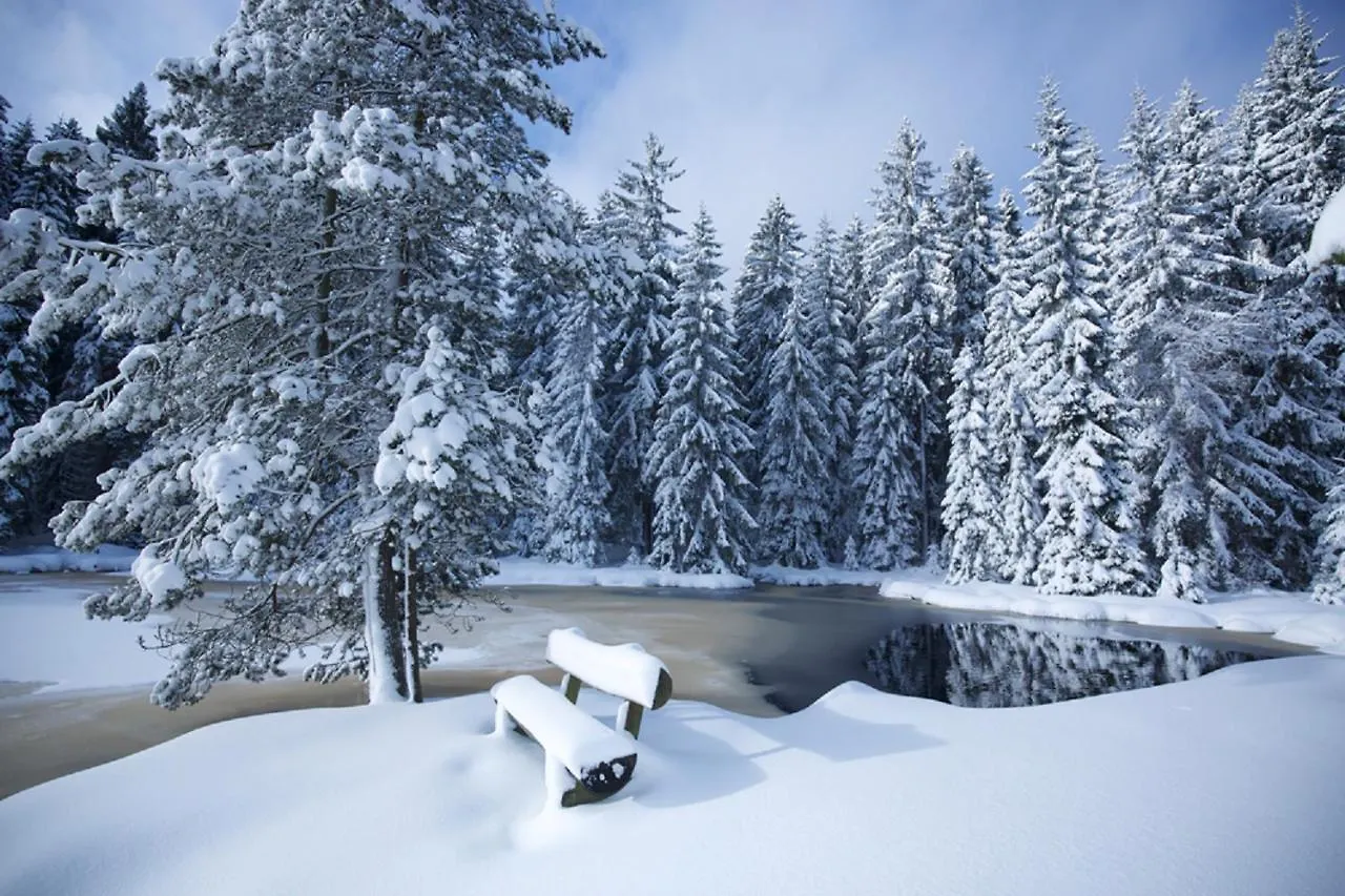 Hotel Und Restaurant Am Fichtelsee Fichtelberg